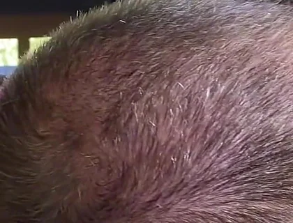 The Scent of Leather