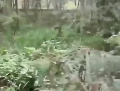 A Worker Passed Through the Park and Received a Blowjob.