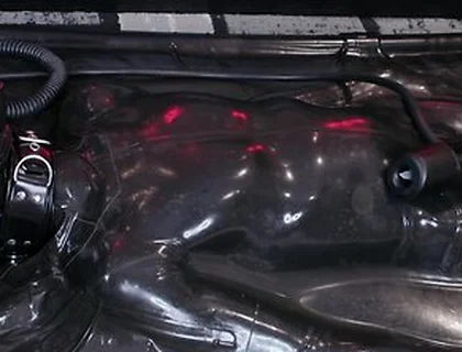 V11 Vv11 [pp Training]