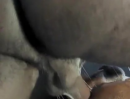 Fucked Without Mercy