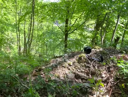 Connecting with Nature