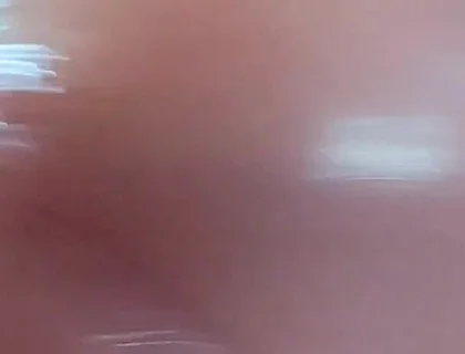 Beautiful Pink Penis Dripping Sweet Nectar.