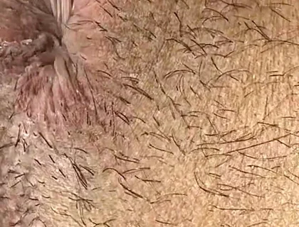 Do You Like My Ass?