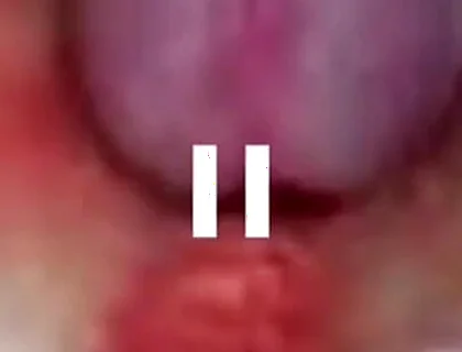 Best Compilation Crempie Pussy - Camera Inside 4K