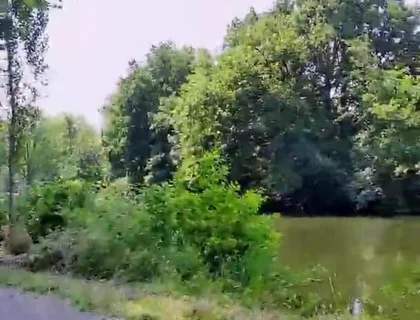 Slutboyben Cam4 Mega Sexy Public Exhibitionist Pig