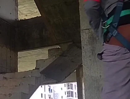 I Took a Toy to Work and Look What I Did