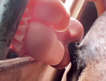 Hard Man's Sex Videos
