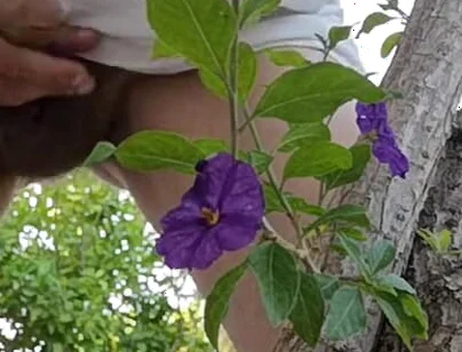 Watch Me Jerking off Outdoors While Hiding Behind a Tree