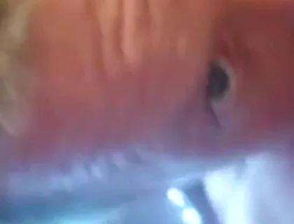 An Intense Orgasm From a Blowjob Cum in Mouth