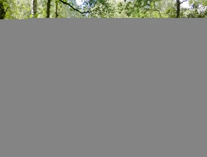 Thank You Again for Cum and Watching