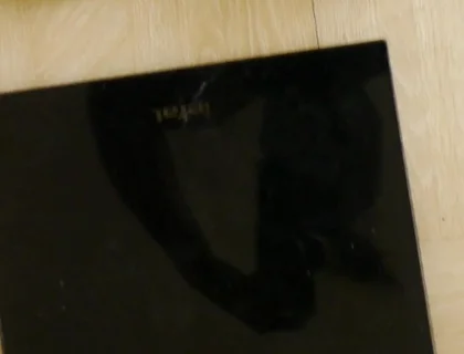 Weighing Your Black Fit Pony