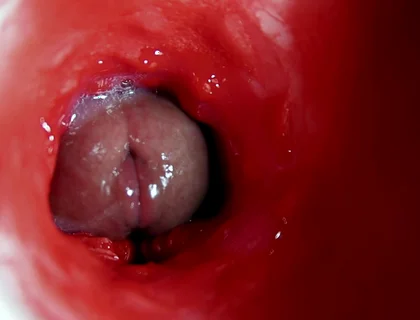 A Big Beautiful Cock Flows Abundantly Inside a Wet Slippery Hole and Smacks!