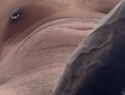 Cock Lovers. POV