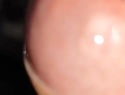 Waking up Excited and with My Cock Soaked in Precum.
