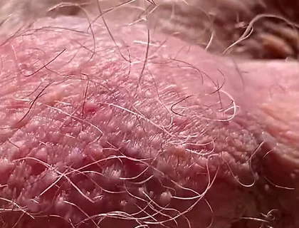 Checking That Everything Is in Order at the Construction Site.