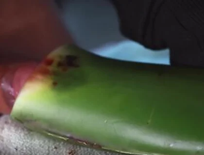 Jerking Off With Aloe Vera Ultil I Nut A Thick Load