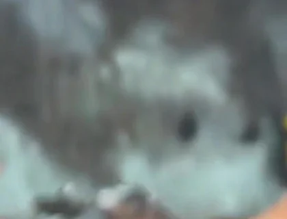 Gay Orgy at Rectumbcn