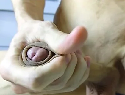 Hot Veiny Guy Slowly Strokes His Huge Beautiful Cock On Your Face
