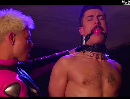 Crazy Sex Video Homosexual Gags Exotic Like In Your Dreams