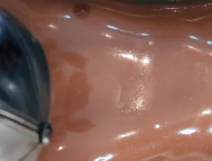 Unit 13 - Vacbed Moanline