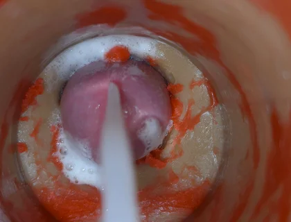 Insemination - Internal Camera Captures Deep Male Ejaculation