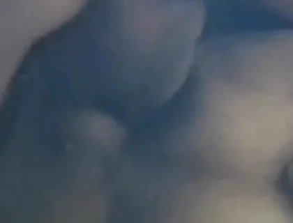 Tasty Sex