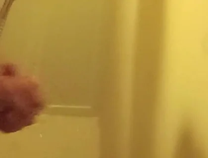 Cleaned Cock