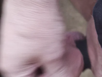 My Friend Sits in a Chair and Jerks His Cock While Watching the Video Until He Orgasms