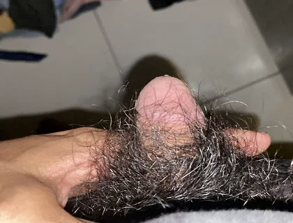 I Masturbate in the Afternoon