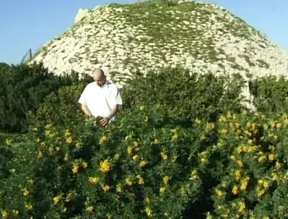 Twink Fucked Down by the Beach