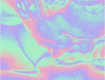 Suck Ladyboy in Holo